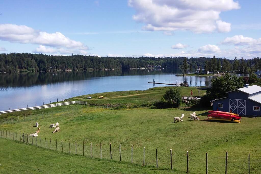 Oceanfront Studio/Loft: Alpacas, Oysters & Kayaks シェルトン エクステリア 写真