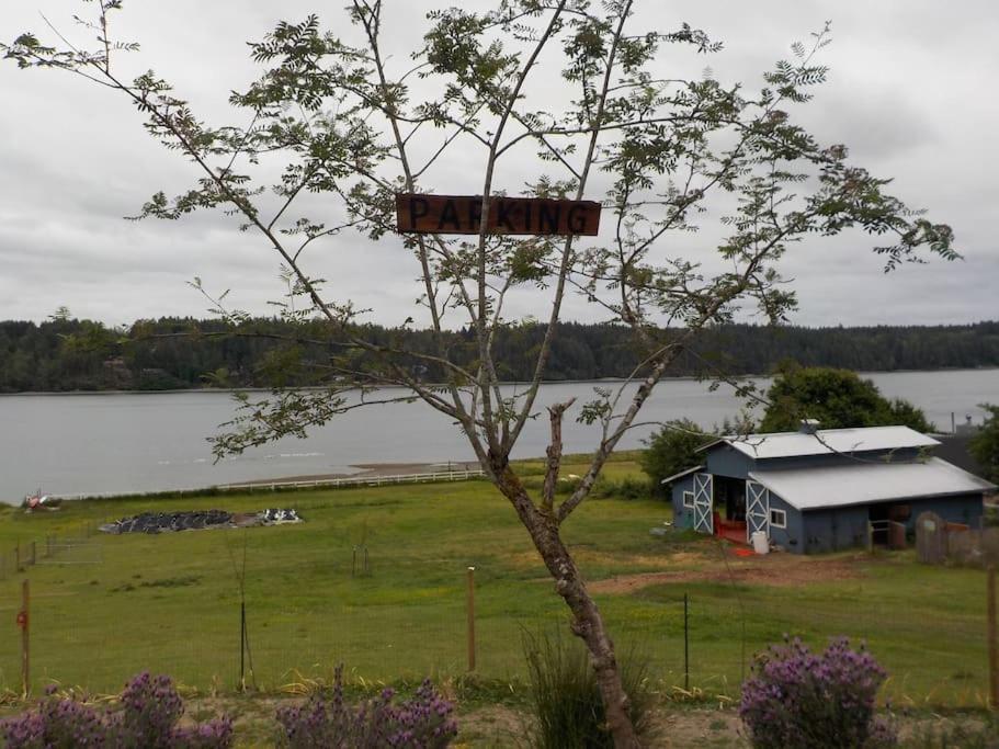 Oceanfront Studio/Loft: Alpacas, Oysters & Kayaks シェルトン エクステリア 写真