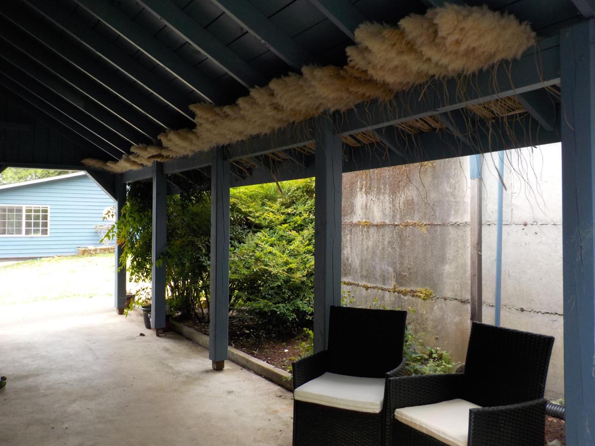 Oceanfront Studio/Loft: Alpacas, Oysters & Kayaks シェルトン エクステリア 写真