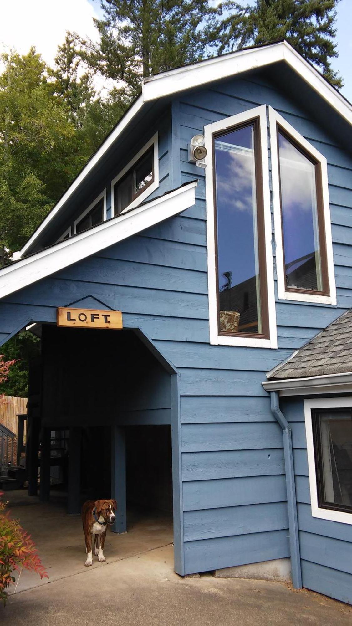 Oceanfront Studio/Loft: Alpacas, Oysters & Kayaks シェルトン エクステリア 写真